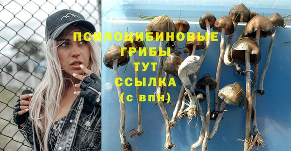 молекула духа Баксан