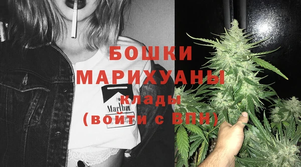 молекула духа Баксан