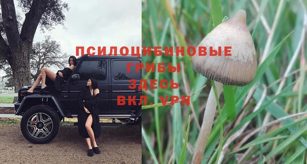 молекула духа Баксан